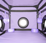 Secret Dome La Niche Bondage Box Purple