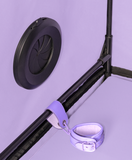Secret Dome Scandale Giant Bondage Box Purple